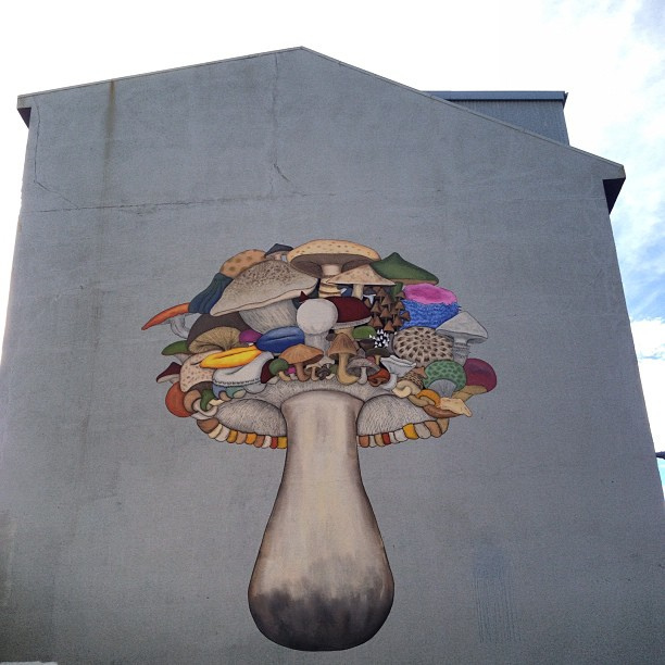 Mushroom Street Art | Iceland